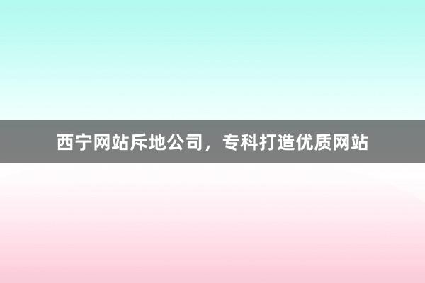 西宁网站斥地公司，专科打造优质网站